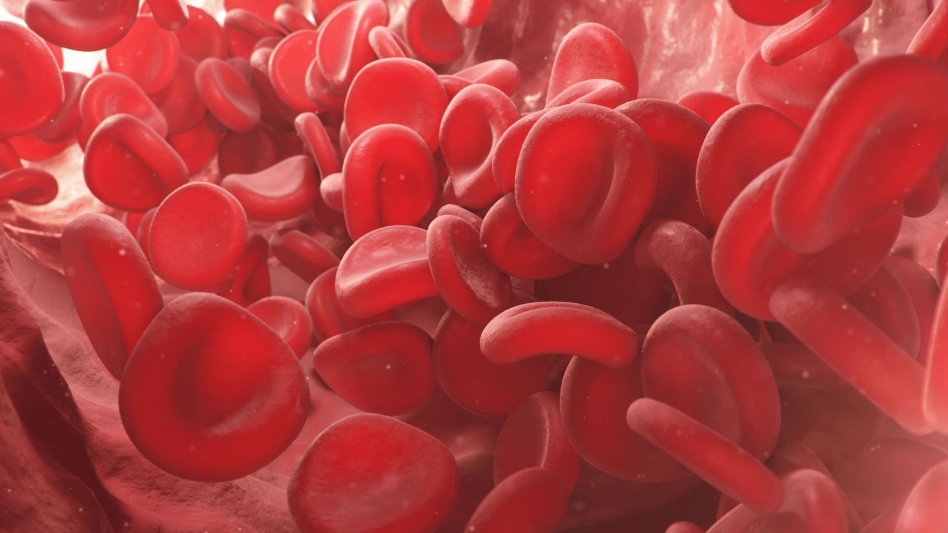 Blood cells