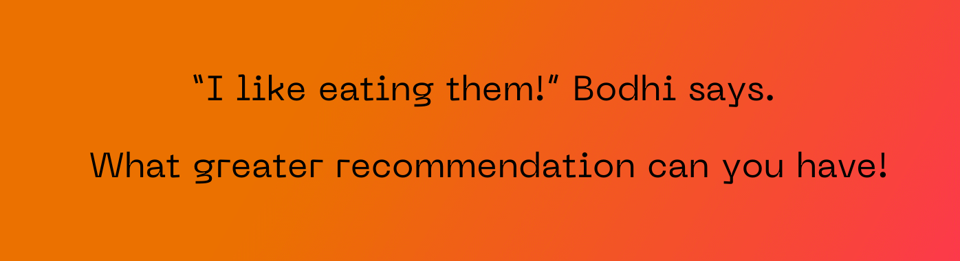'I like eating them!' Bodhi says. What greater recommendation can you have!